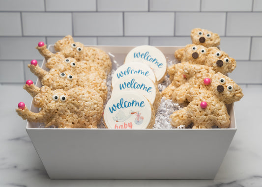 Welcome Baby Gift Basket