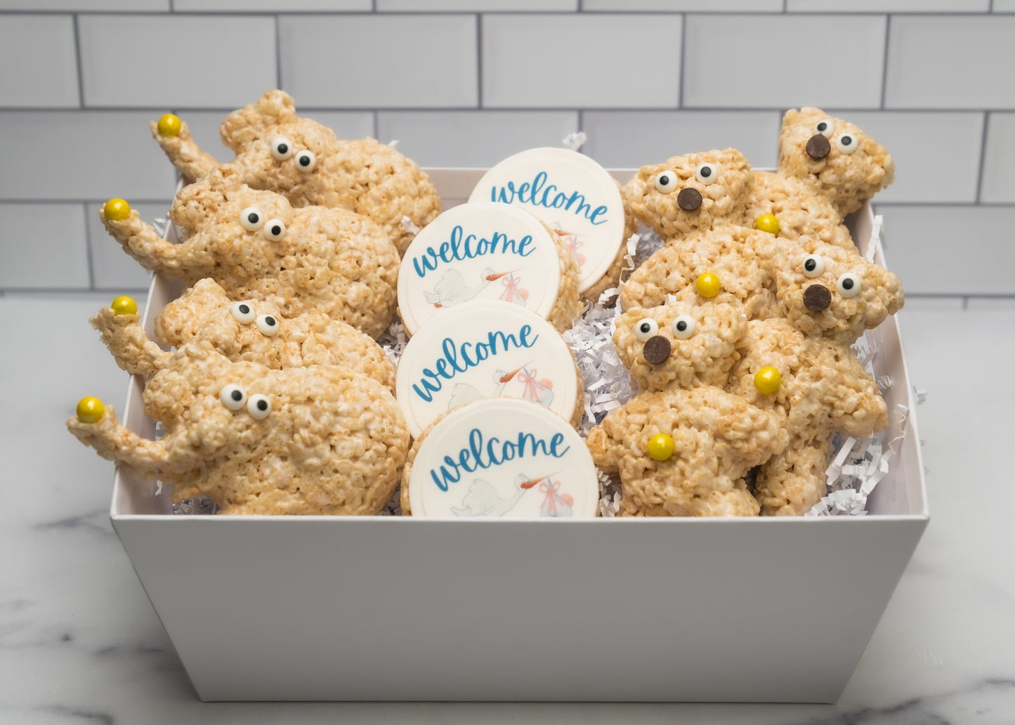 Welcome Baby Gift Basket