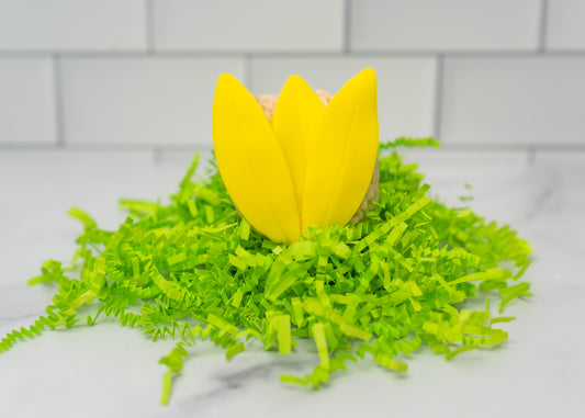 Flower Tulip Rice Crispie Treats