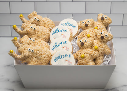 Welcome Baby Gift Basket